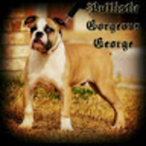 Meet your Posher, Dan